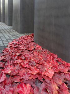 red leaves river