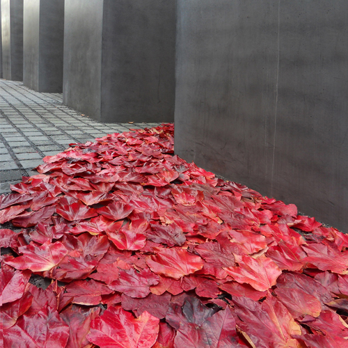 2010/ Holocaust Memorial, Berlin